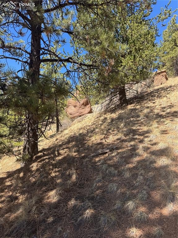 288 Troy Dr, Cripple Creek, CO 80813