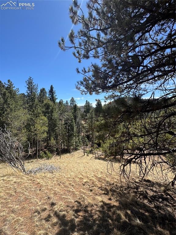 288 Troy Dr, Cripple Creek, CO 80813