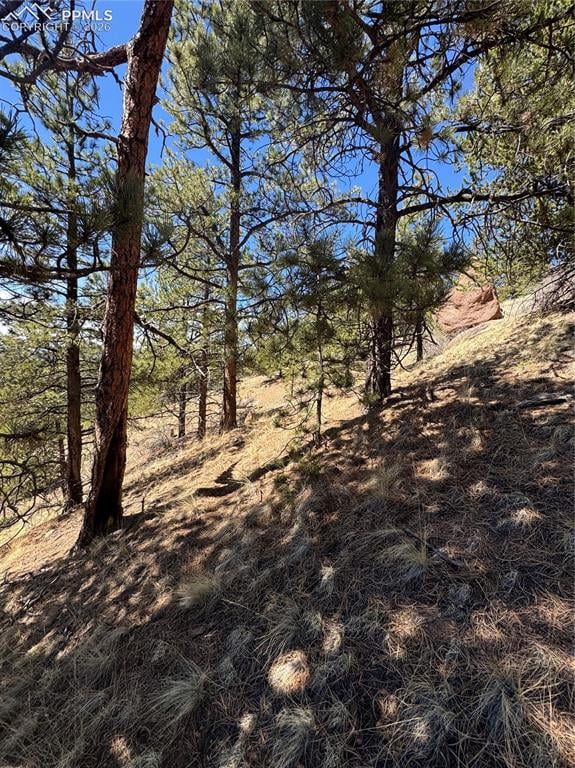 288 Troy Dr, Cripple Creek, CO 80813