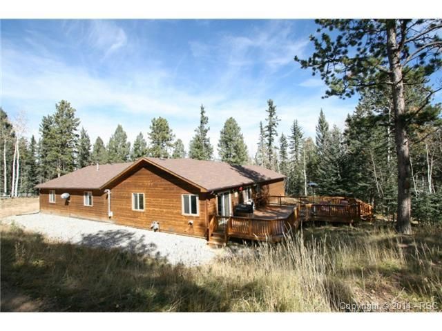 289 Black Bear Dr, Divide, CO 80814