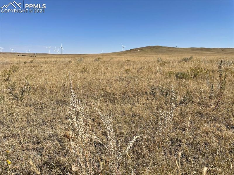 29040 Paint Mine Rd, Calhan, CO 80808