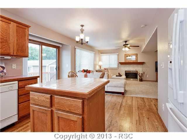 295 Mcshane Pl, Monument, CO 80132