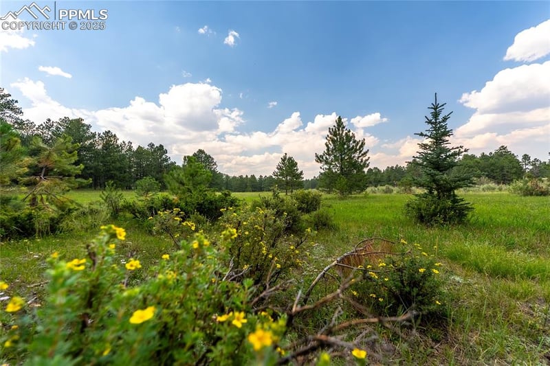 29507 Highway 67, Woodland Park, CO 80863