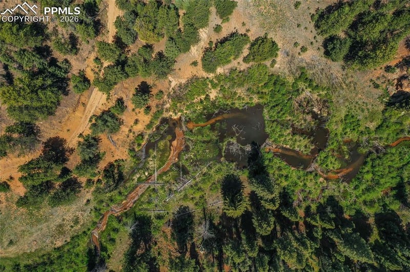 29545 Highway 67 , Woodland Park, CO 80863