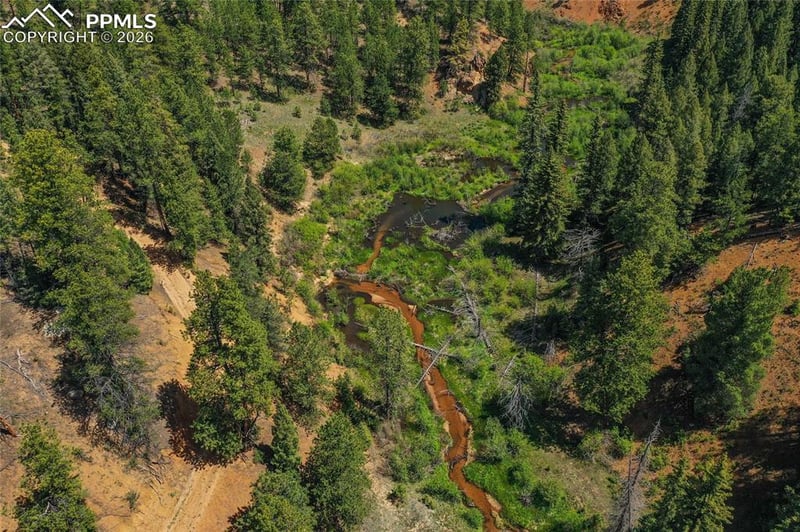 29545 Highway 67 , Woodland Park, CO 80863