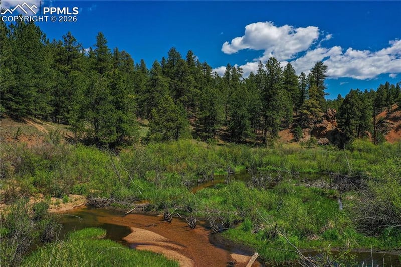 29545 Highway 67 , Woodland Park, CO 80863