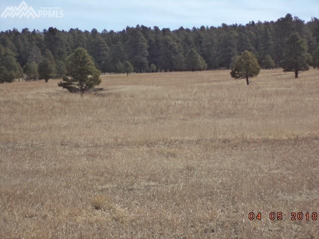 29770 County Road 17 21, Elizabeth, CO 80107