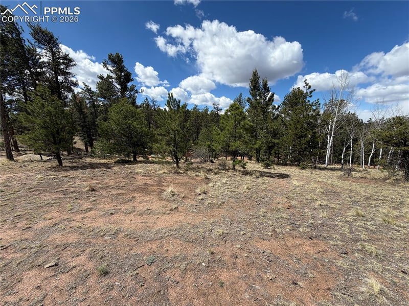 2988 Pikes Peak Dr, Florissant, CO 80816
