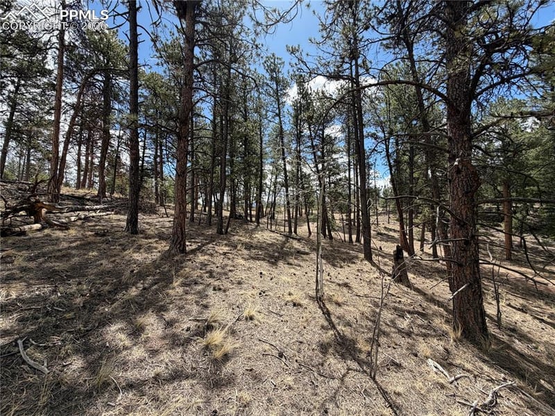 2988 Pikes Peak Dr, Florissant, CO 80816
