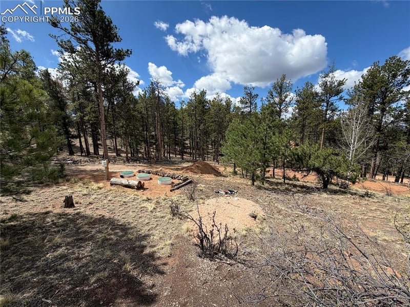 2988 Pikes Peak Dr, Florissant, CO 80816