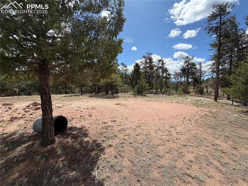 2988 Pikes Peak Dr, Florissant, CO 80816
