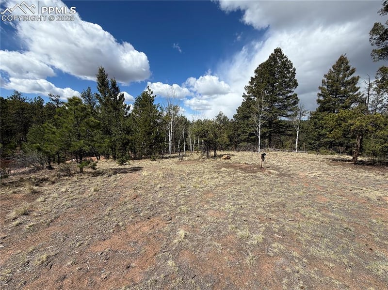 2988 Pikes Peak Dr, Florissant, CO 80816