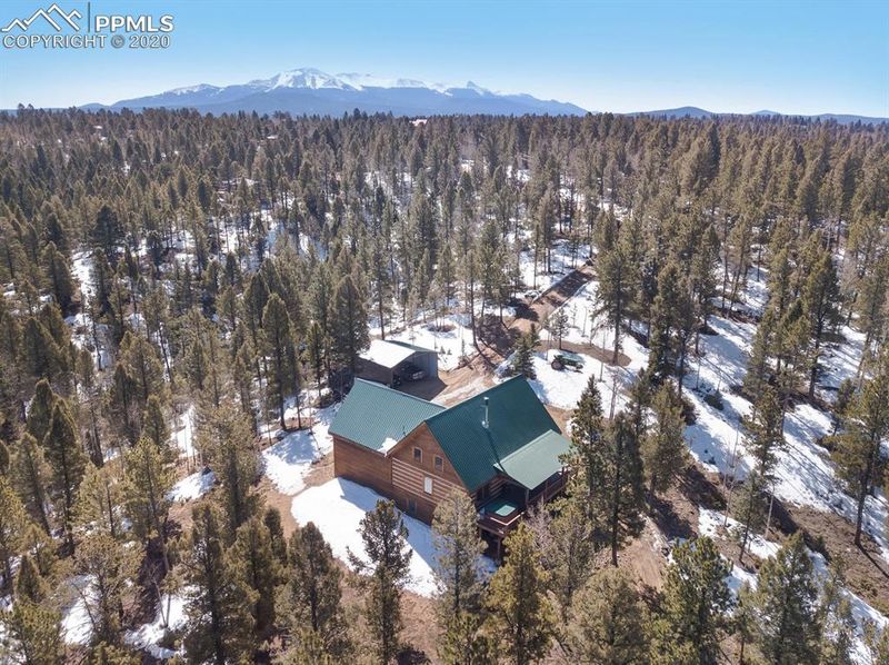 299 Wayward Wind Dr, Divide, CO 80814