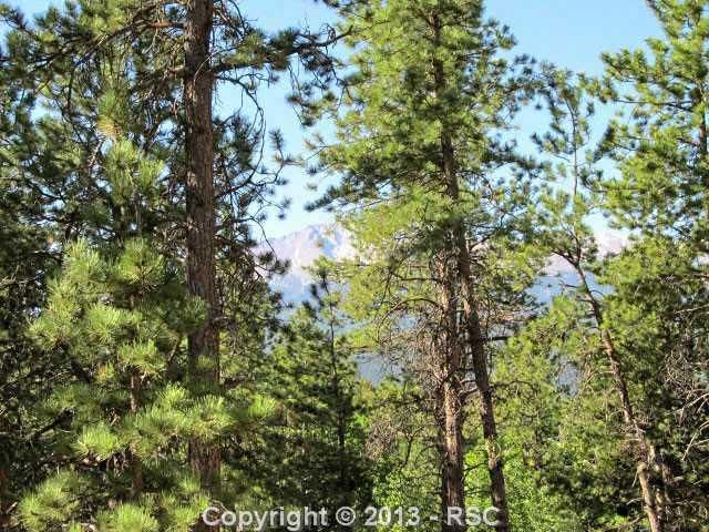 301 Thunder Ridge Dr, Woodland Park, CO 80863