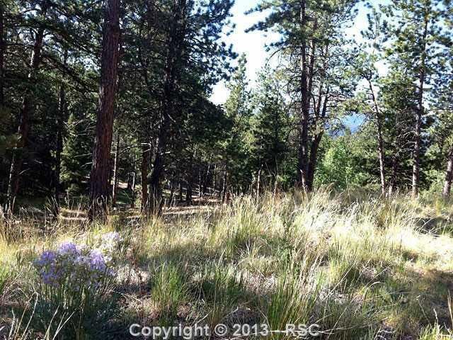 301 Thunder Ridge Dr, Woodland Park, CO 80863