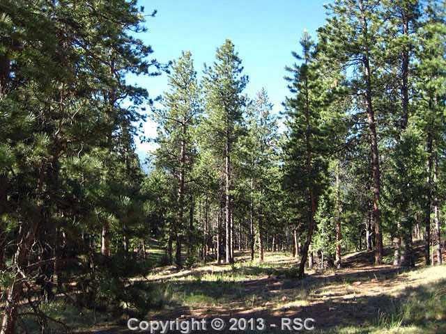 301 Thunder Ridge Dr, Woodland Park, CO 80863