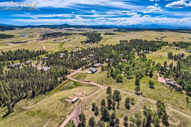303 Pinaceae Hts, Divide, CO 80814