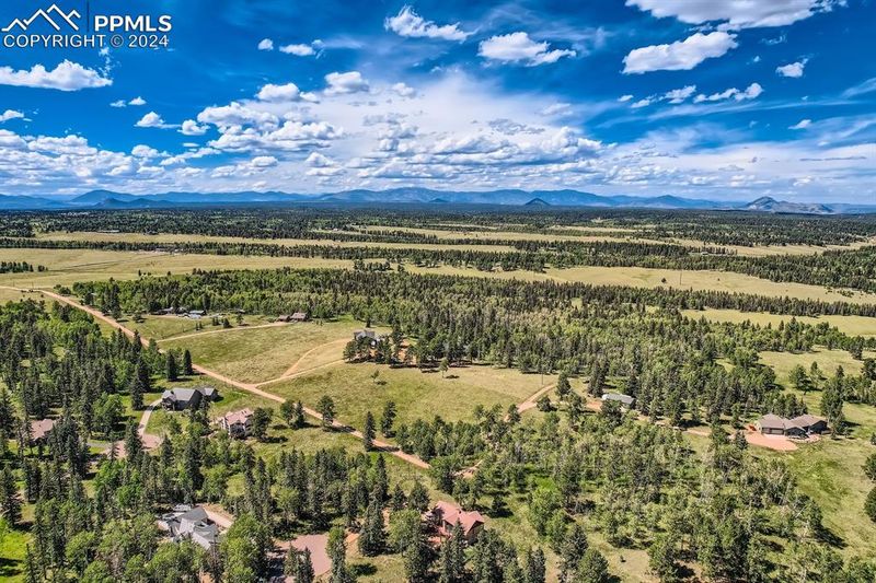 303 Pinaceae Hts, Divide, CO 80814