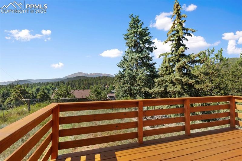 305 Dewell Rd, Woodland Park, CO 80863
