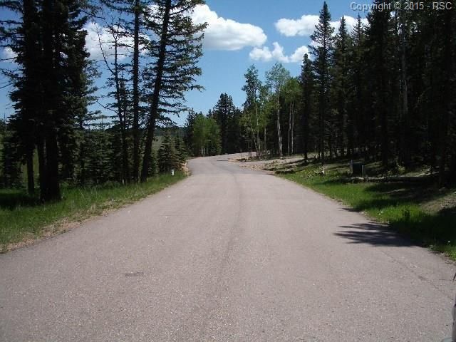 305 Pinaceae Hts, Divide, CO 80814