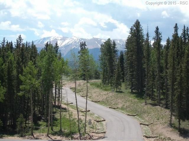 305 Pinaceae Hts, Divide, CO 80814