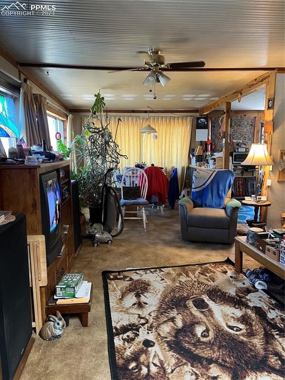 305 Pine Ridge Ave, Manitou Springs, CO 80829