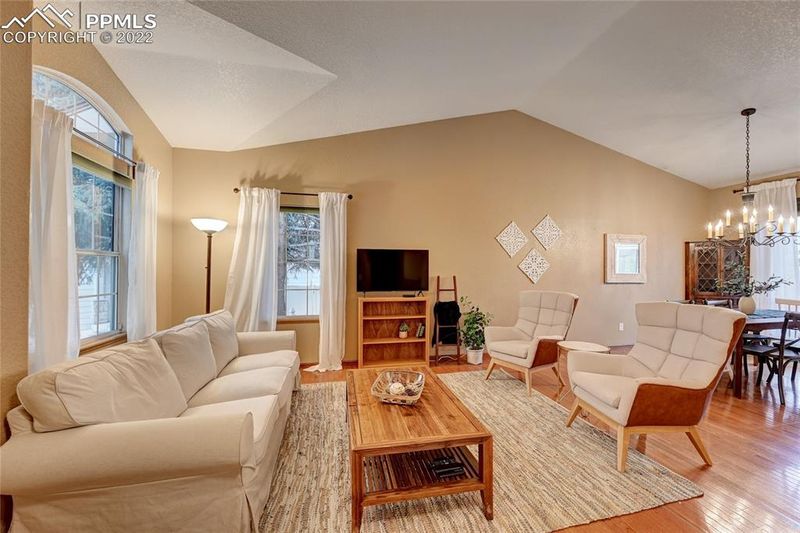 3063 Pony Tracks Dr, Colorado Springs, CO 80299
