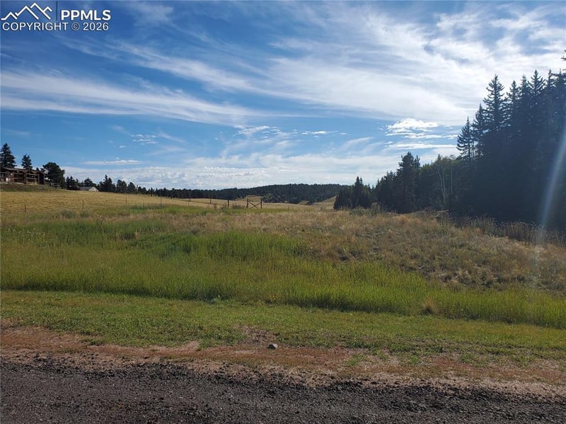 309 Pinaceae Hts, Divide, CO 80814