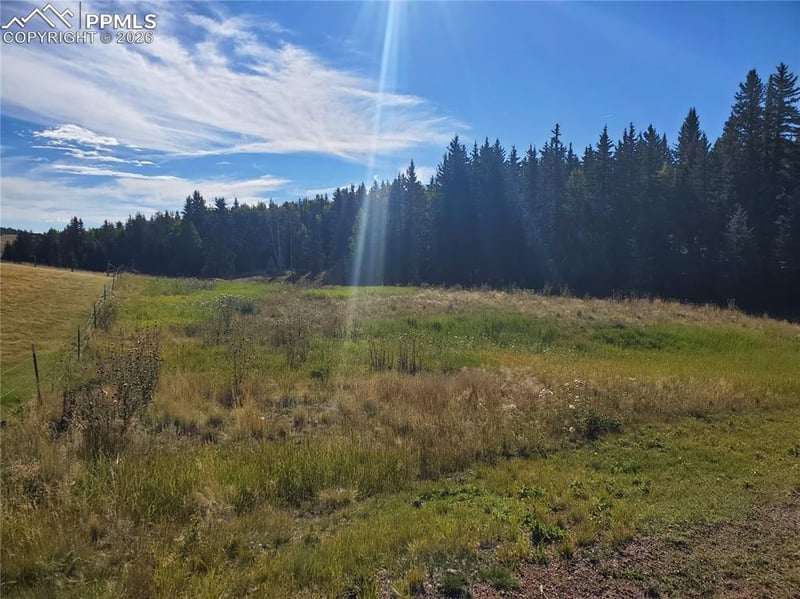 309 Pinaceae Hts, Divide, CO 80814