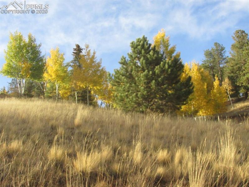 31 Aztec Cir, Divide, CO 80814