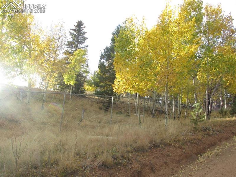 31 Aztec Cir, Divide, CO 80814