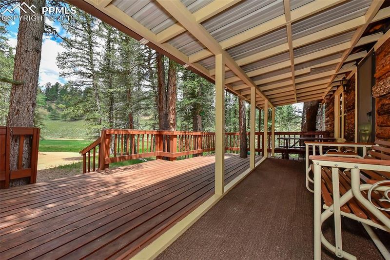 31 Lars Hts, Divide, CO 80814