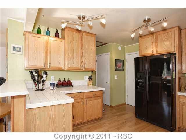 310 Rosita Ave, Palmer Lake, CO 80133