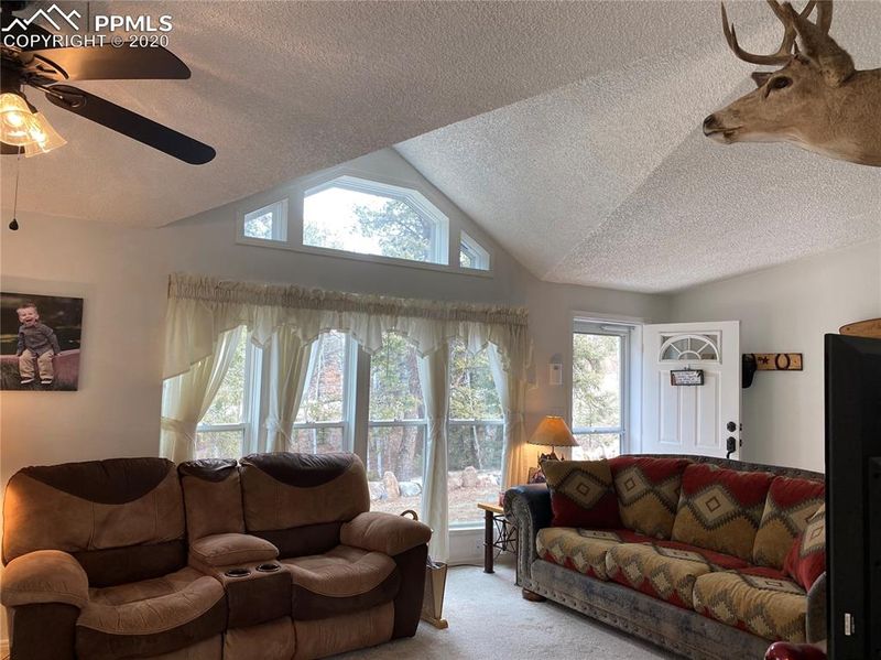 3124 County Road 42 Rd, Divide, CO 80814