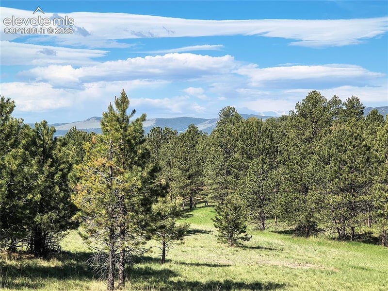 314 Arrowhead Dr, Florissant, CO 80816