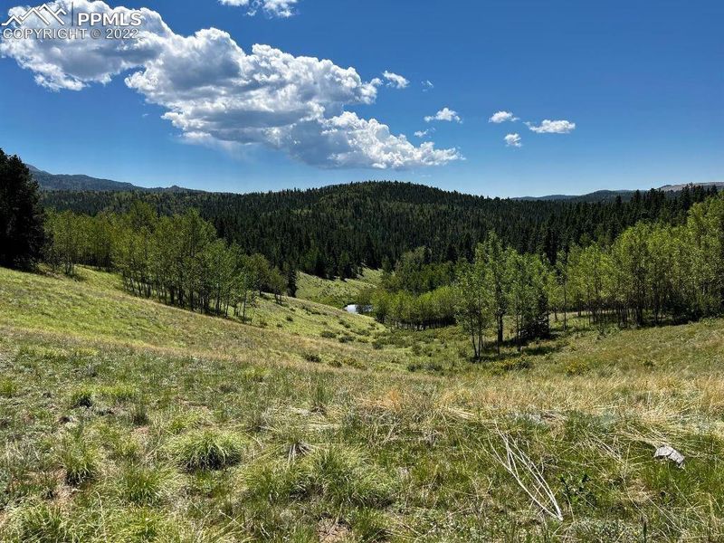 3157 County Road 61 Rd, Divide, CO 80814