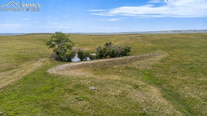 31875 W Ramah Rd, Ramah, CO 80832