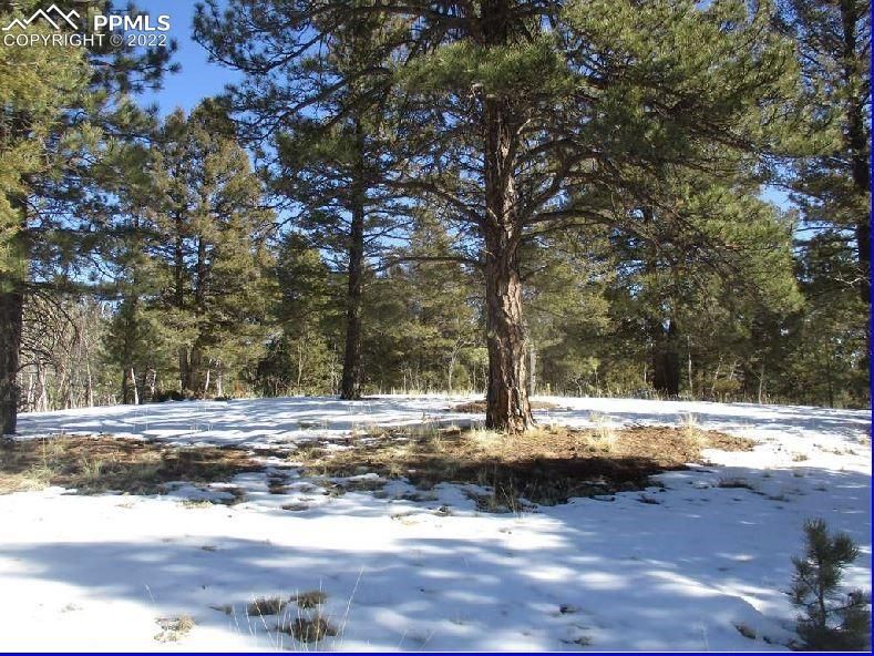319 Alpine View Rd, Divide, CO 80814