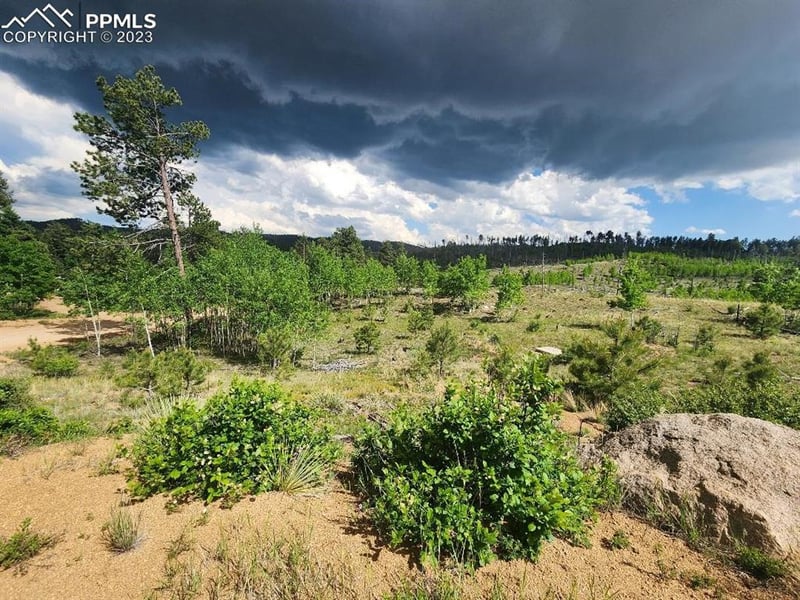 319 Brooks Ln, Sedalia, CO 80135