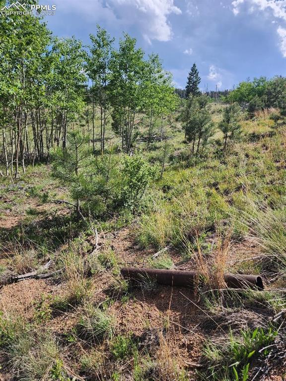 319 Brooks Ln, Sedalia, CO 80135