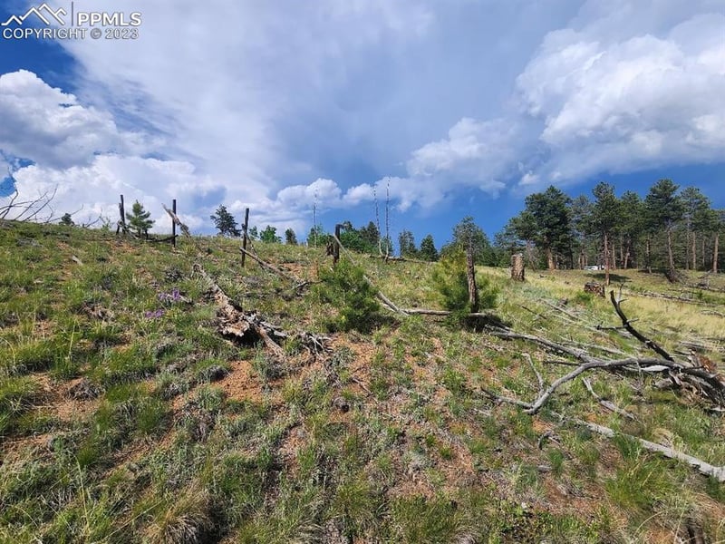 319 Brooks Ln, Sedalia, CO 80135