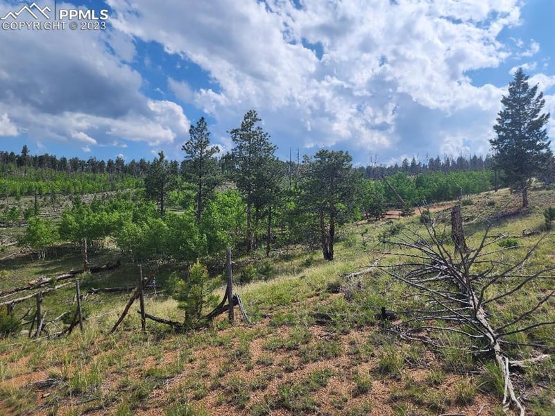 319 Brooks Ln, Sedalia, CO 80135