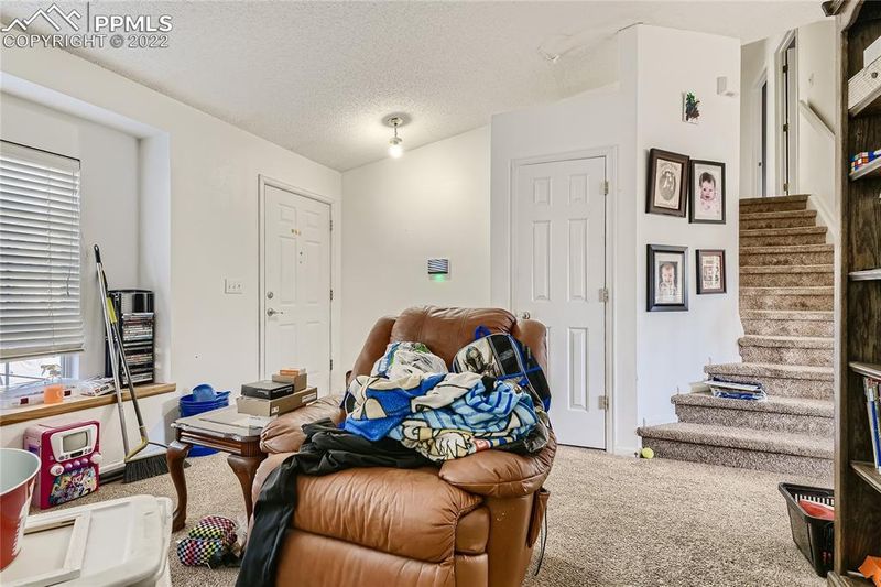 3196 W Indian Summer Ln, Castle Rock, CO 80109