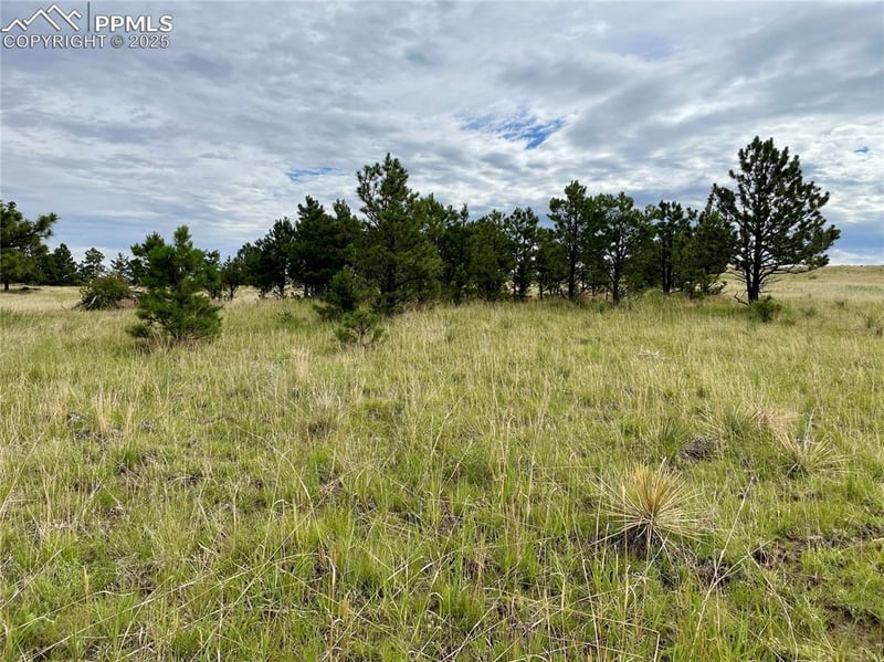 31963 Cattle Cir, Ramah, CO 80832