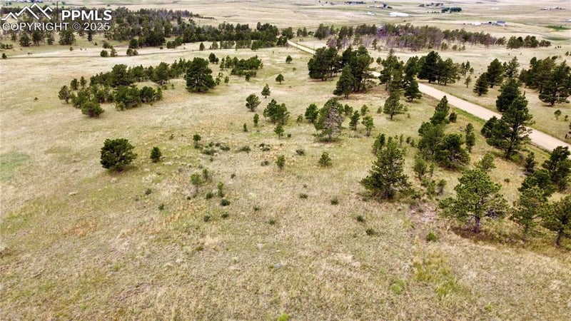 31963 Cattle Cir, Ramah, CO 80832