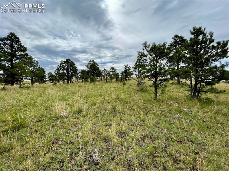 31963 Cattle Cir, Ramah, CO 80832