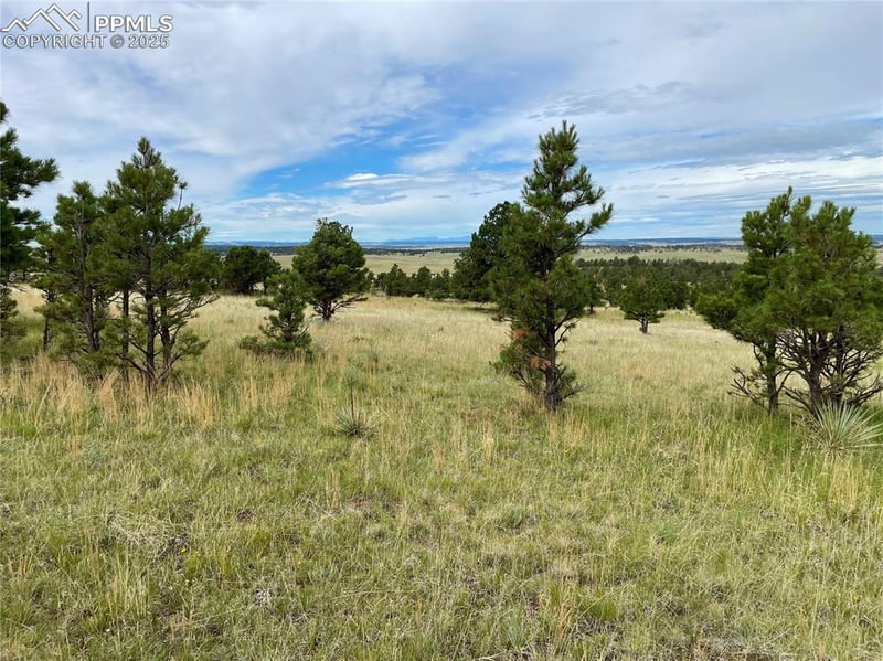 31963 Cattle Cir, Ramah, CO 80832