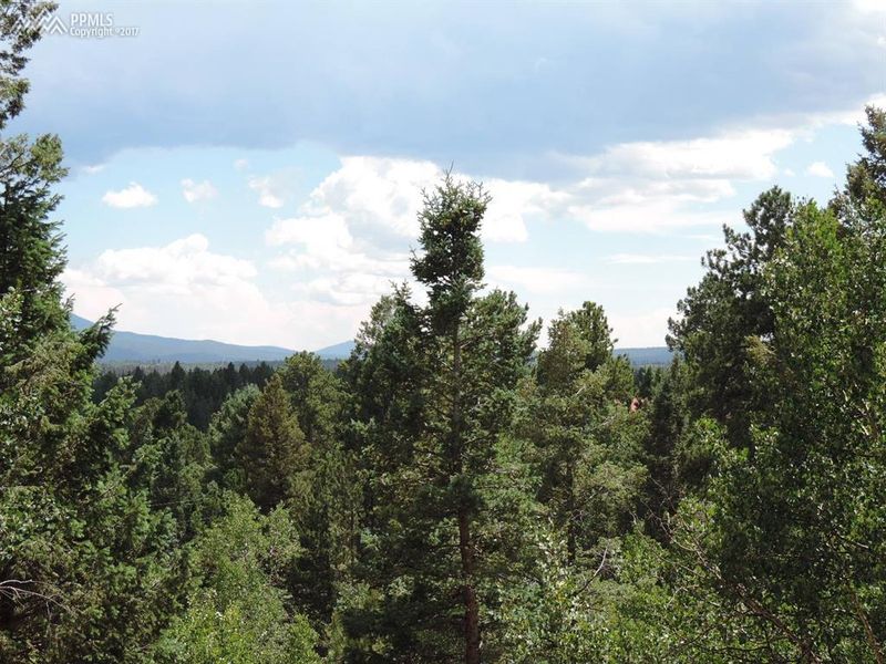 320 Spring Valley Dr, Divide, CO 80814
