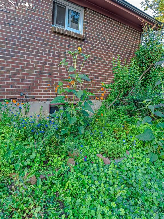 3202 Gladiola Dr, Colorado Springs, CO 80907