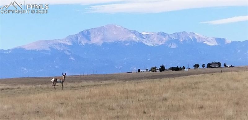 3210 Longhorn Ridge Vw, Calhan, CO 80808